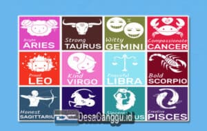 Fungsi Ramalan Zodiak