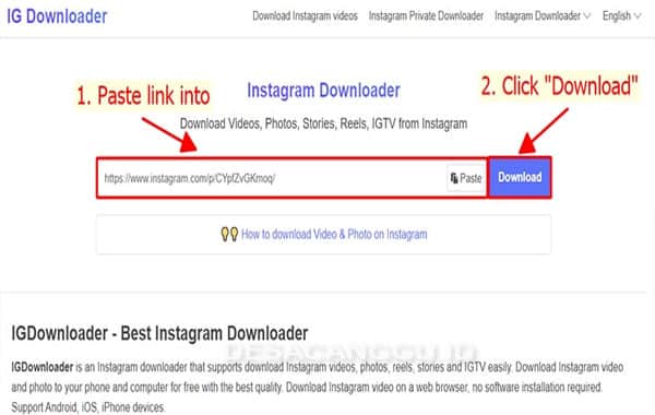 IGdownloader