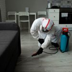 Prepare Your Home for Flea Extermination