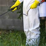 How to Find the Best Pest Control Products Near You