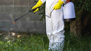 Best Pest Control Products