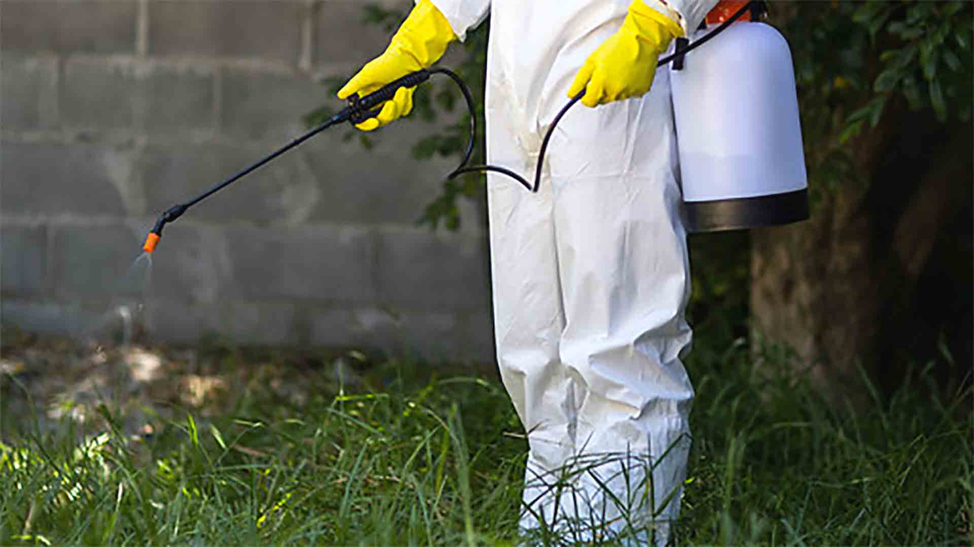 How to Find the Best Pest Control Products Near You