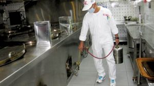 Why Pest Control Is Vital in the Food Industry