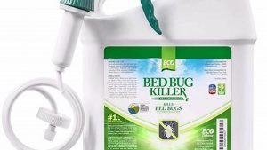 Best Bed Bug Medicine: Choosing the Right Treatment